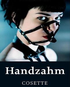 Handzahm (eBook, ePUB)