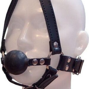 Ball gag face harness