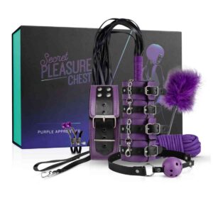 BDSM Geschenkbox "Purple Apprentice"